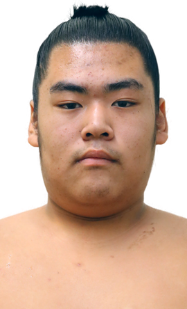 Portrait of the sumo wrestler