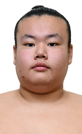 Portrait of the sumo wrestler