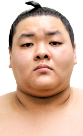 Portrait of the sumo wrestler