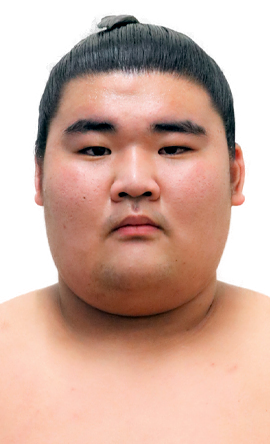 Portrait of the sumo wrestler