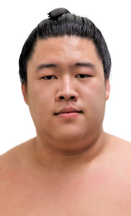 Portrait of the sumo wrestler