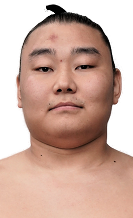 Portrait of the sumo wrestler