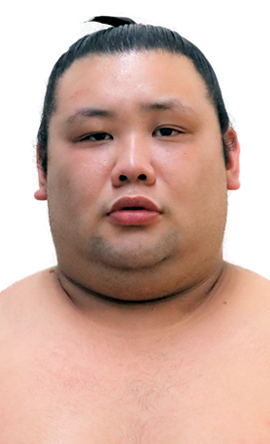 Portrait of the sumo wrestler