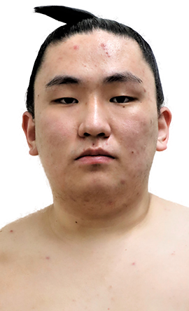 Portrait of the sumo wrestler