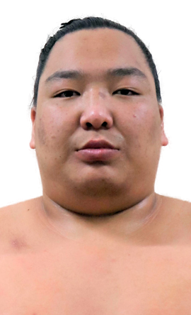 Portrait of the sumo wrestler