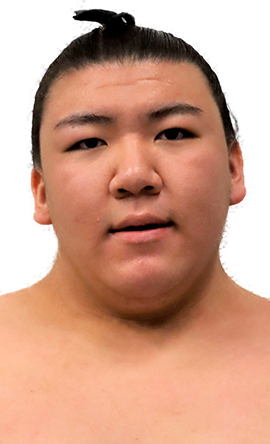 Portrait of the sumo wrestler