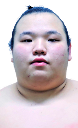 Portrait of the sumo wrestler