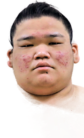 Portrait of the sumo wrestler