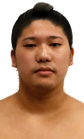 Portrait of the sumo wrestler