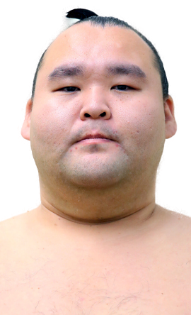 Portrait of the sumo wrestler