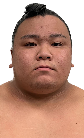 Portrait of the sumo wrestler