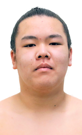 Portrait of the sumo wrestler