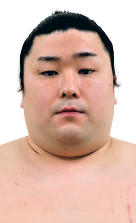 Portrait of the sumo wrestler