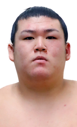 Portrait of the sumo wrestler