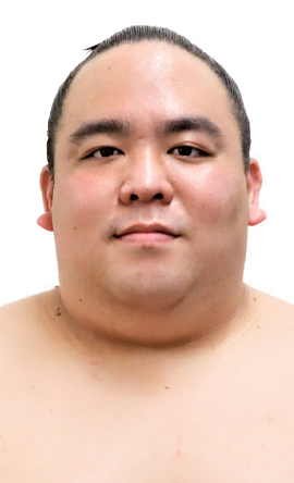 Portrait of the sumo wrestler