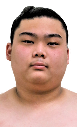 Portrait of the sumo wrestler