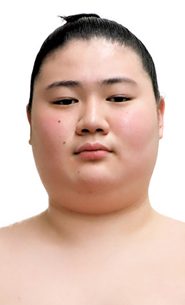 Portrait of the sumo wrestler