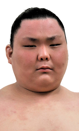 Portrait of the sumo wrestler