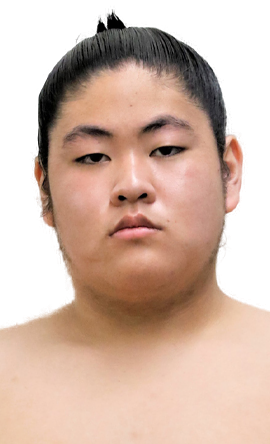 Portrait of the sumo wrestler