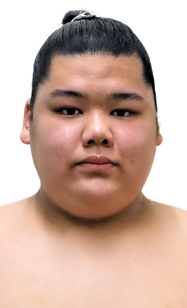 Portrait of the sumo wrestler