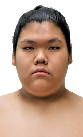 Portrait of the sumo wrestler