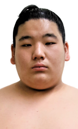 Portrait of the sumo wrestler