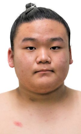 Portrait of the sumo wrestler