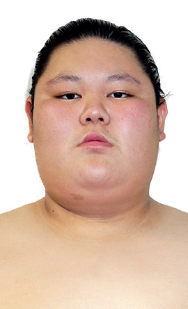 Portrait of the sumo wrestler