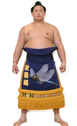 Portrait of the sumo wrestler