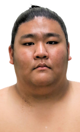 Portrait of the sumo wrestler