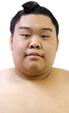 Portrait of the sumo wrestler