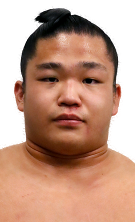 Portrait of the sumo wrestler