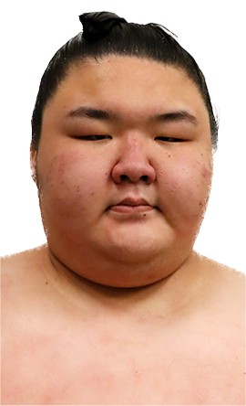 Portrait of the sumo wrestler