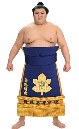 Portrait of the sumo wrestler