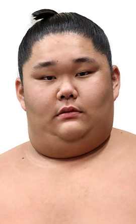 Portrait of the sumo wrestler