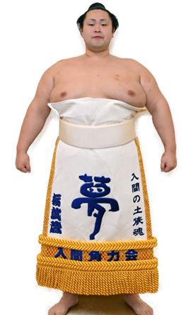 Portrait of the sumo wrestler