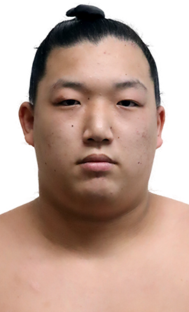 Portrait of the sumo wrestler