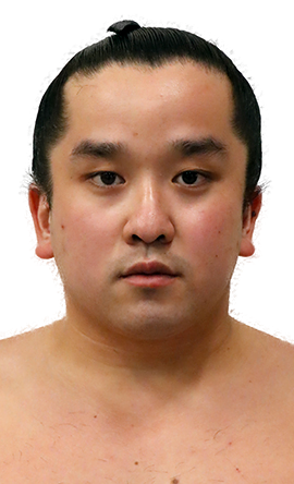 Portrait of the sumo wrestler