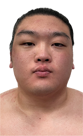 Portrait of the sumo wrestler