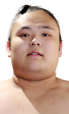 Portrait of the sumo wrestler