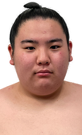 Portrait of the sumo wrestler