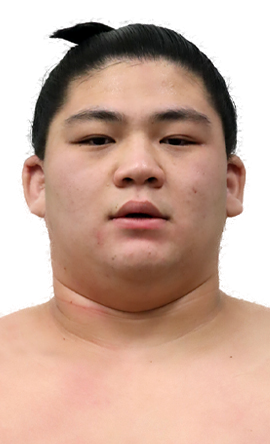 Portrait of the sumo wrestler