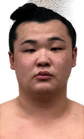 Portrait of the sumo wrestler