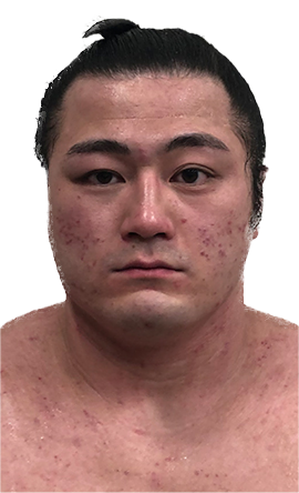 Portrait of the sumo wrestler