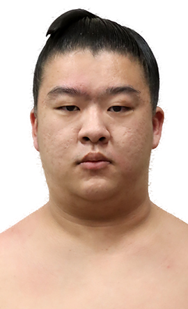 Portrait of the sumo wrestler