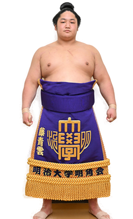 Portrait of the sumo wrestler