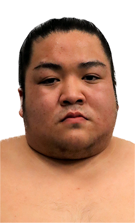 Portrait of the sumo wrestler