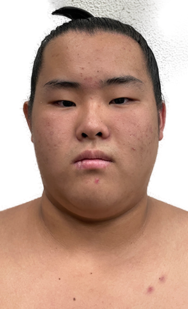 Portrait of the sumo wrestler