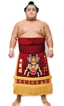 Portrait of the sumo wrestler