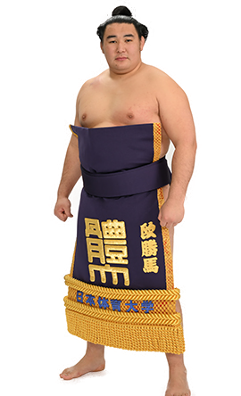 Portrait of the sumo wrestler